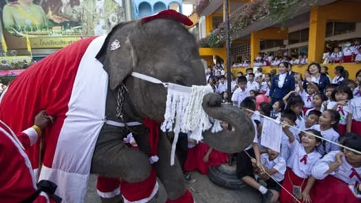În Thailanda, Moş Crăciun este elefant!