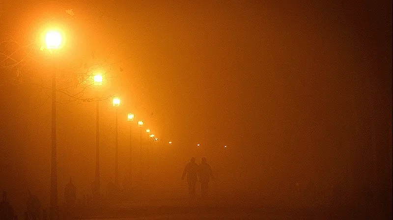 Ceaţa a îngreunat circulaţia rutieră în judeţul Tulcea