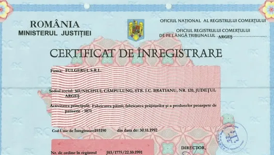 Cererile de înregistrare a firmelor vor trece în competenţa directorilor de oficii 