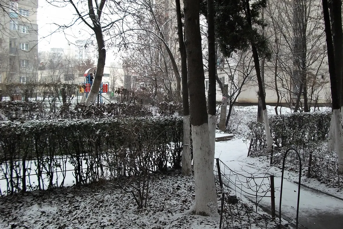 Prima ninsoare din Cluj-Napoca
