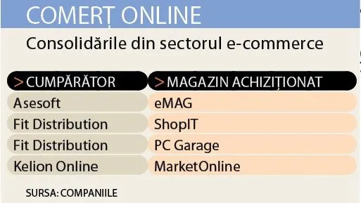 Anul 2009 a adus consolidarea comerţului online