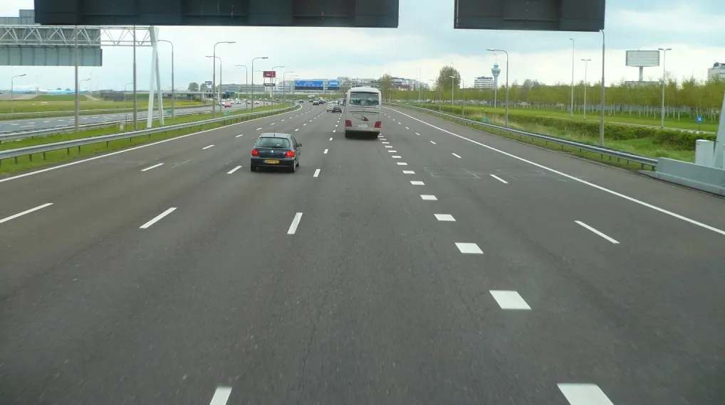 Autostrada Transilvania, traversată de oi, câini, vulpi şi autostopişti
