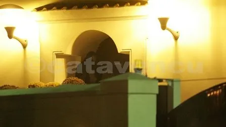 Geoană l-a vizitat miercuri noapte pe \"maleficul\" Vîntu, anunţă Academia Caţavencu