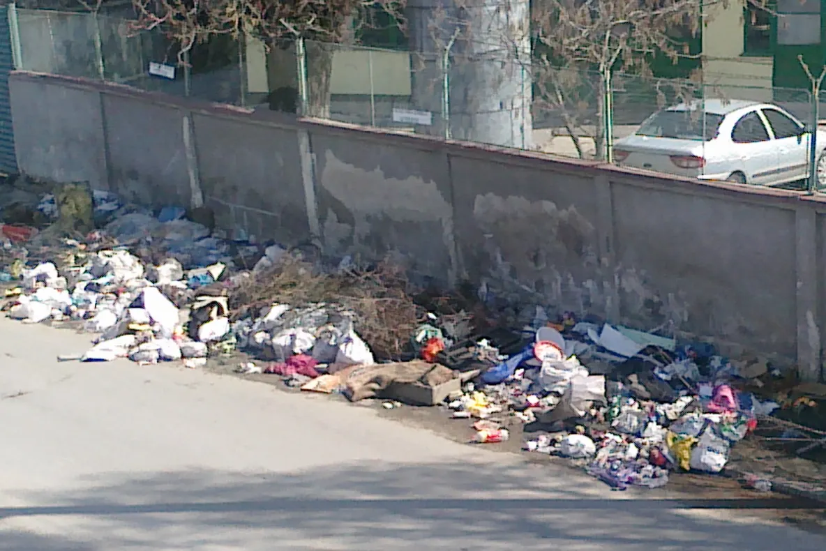 Capitala, la un pas să fie invadată de șobolani și insecte - Motivul incredibil pentru care nu a început încă deratizarea și dezinfecția