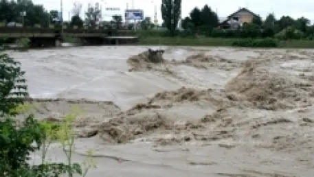 Efectele furtunii: Copaci căzuţi pe carosabil, mai multe beciuri şi curţi au fost inundate, în Prahova