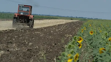 Decizie de ultim moment de la Bruxelles. Ce se întâmplă cu fermierii care-și lasă terenurile în pârloagă