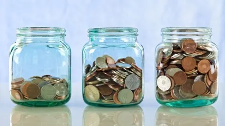 Bilă neagră, România nu îndeplinește niciun criteriu pentru trecerea la moneda euro