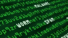 Securitatea cibernetică ar putea fi introdusă în programa şcolară. Ce vor învăţa copiii