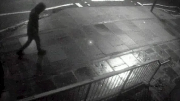 MOMENTE de TEROARE. Ce a auzit o mamă când şi-a sunat fiica pe telefonul mobil