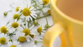 Cele mai folosite plante în tratamente naturiste și funcțiile lor miraculoase