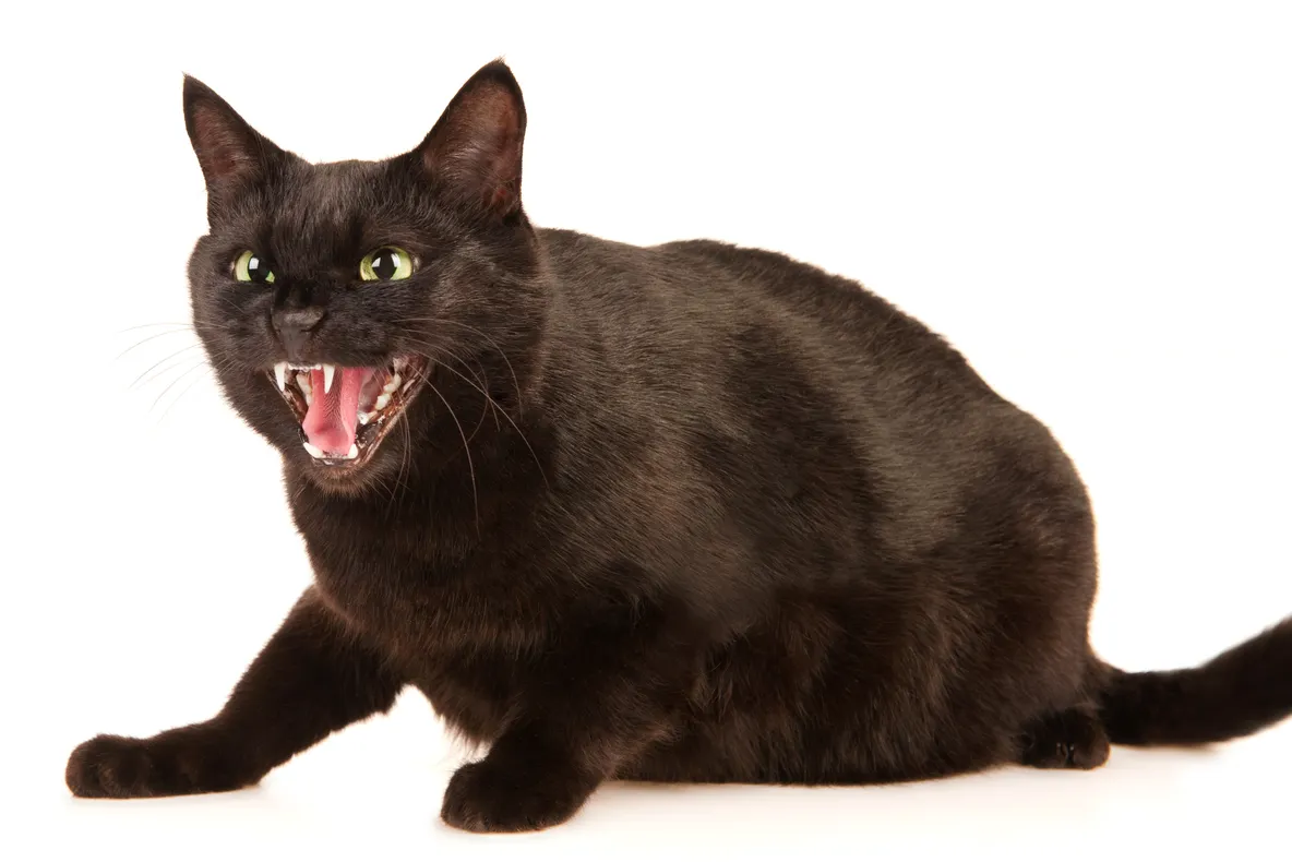 Cele mai amuzante superstitii romanesti