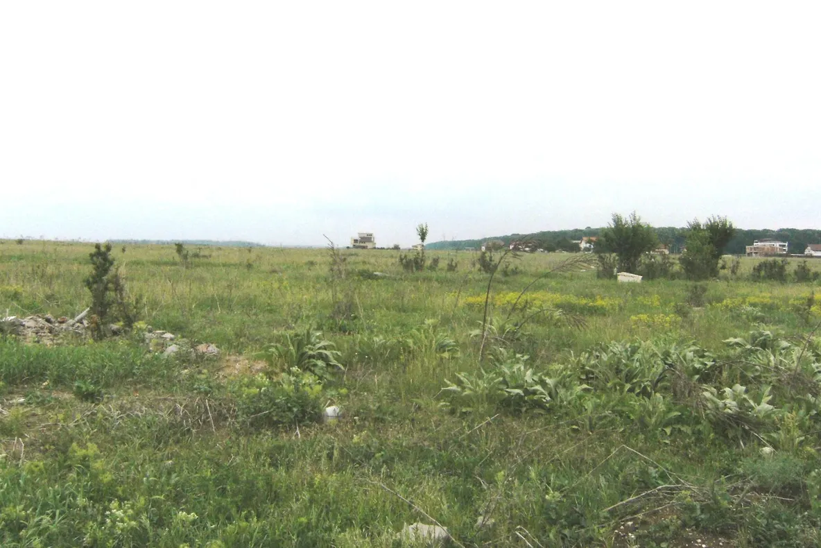 CULISELE STATULUI PARALEL. Oamenii statului paralel, paznici la retrocedări