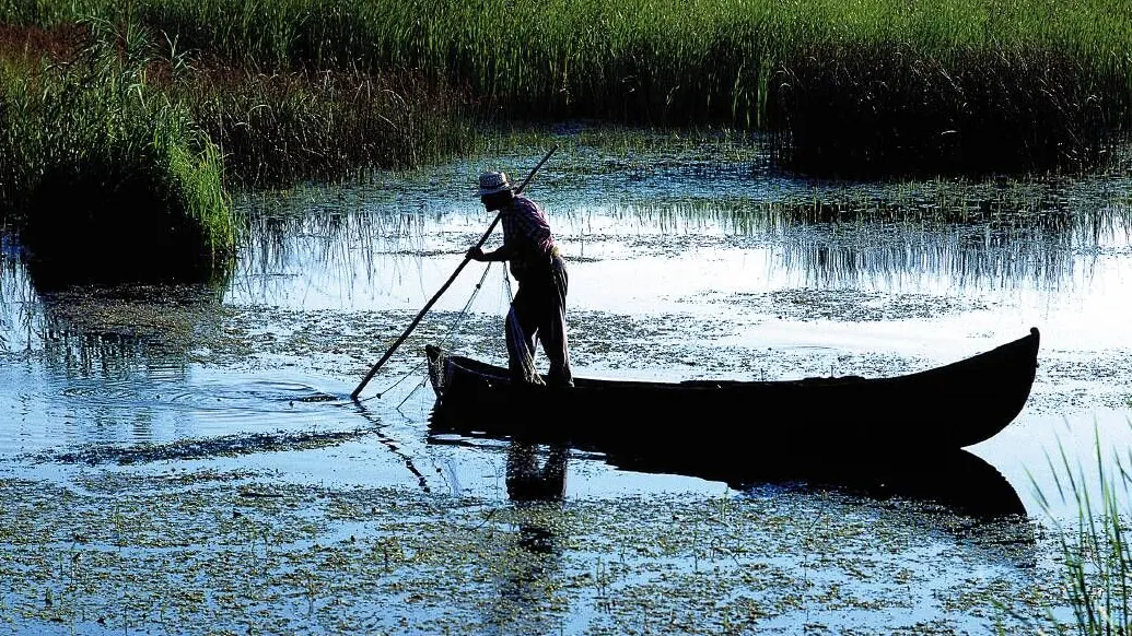 Undă verde pentru paradisuri fiscale în Delta Dunării.