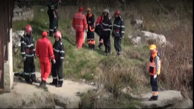 Descoperire macabră în pădurea bântuită de lângă Cluj-Napoca 