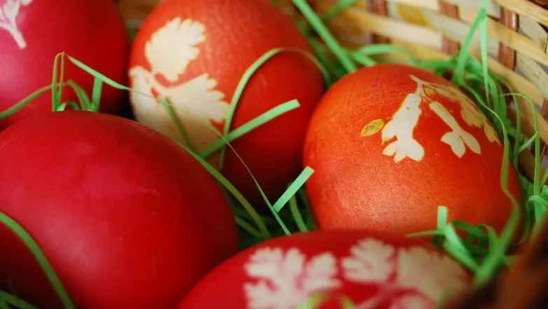 Fresh Refresh. Cum să vopseşti ouă folosind ingrediente naturale