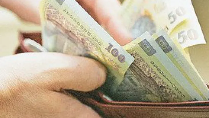 Pe ce se duce bugetul unei familii din România: 16% pe taxe, 5% pe educație și cultură