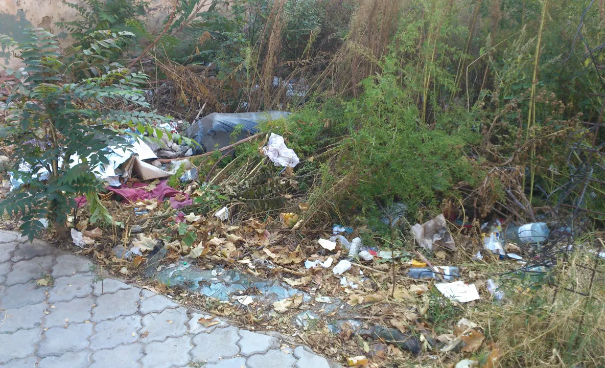 Bani aruncaţi la groapă în Bacău 