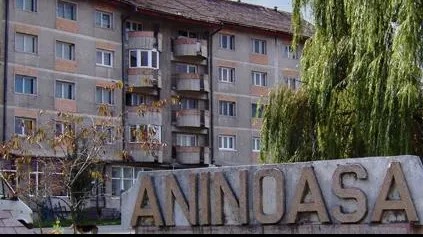 VIRUSUL Aninoasa se extinde! Ce localităţi din România au intrat în INSOLVENŢĂ în 2014
