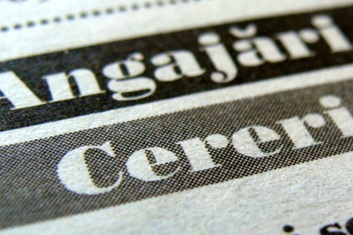 Salarii de până la 3.700 euro în străinătate dacă ai studii medii