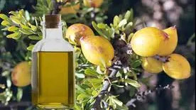 Secretele uleiului de argan pentru frumuseţe