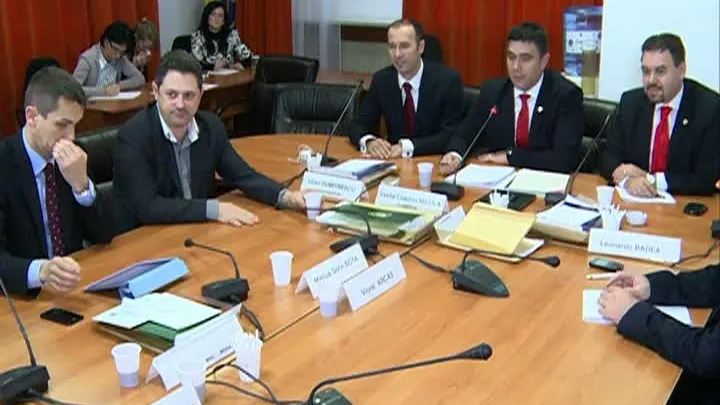 Audierile la comisia de anchetă "NANA" încep luni