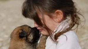 Veste sfâşietoare pentru iubitorii de animale. Începe chiar în această săptămână