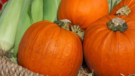 Zece afaceri agricole cu care micii fermieri pot da lovitura în 2014