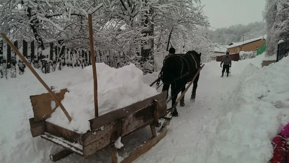 MARTOR OCULAR: Satul în care localnicii își deszăpezesc singuri drumurile