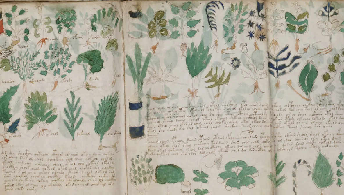 Nimeni nu a DESCIFRAT acest manuscris de 600 de ani. CE SECRET ascund plantele