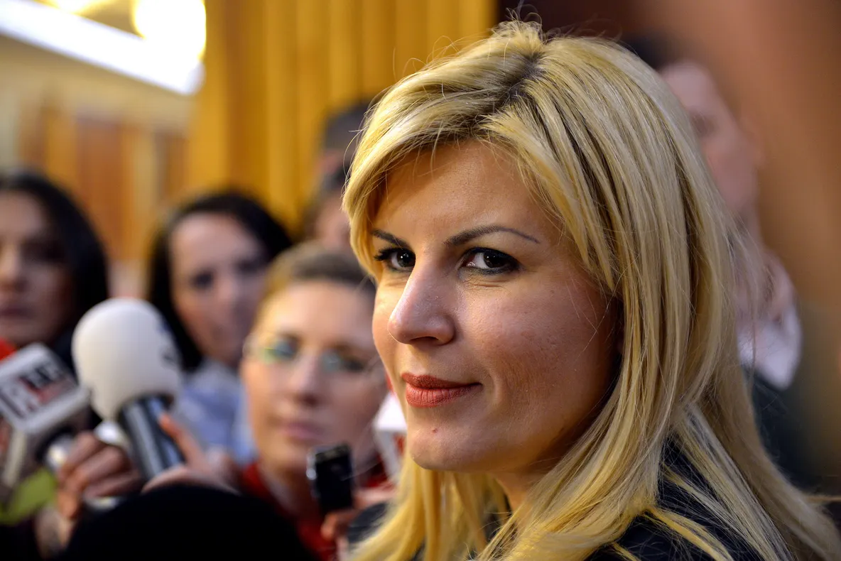 ALEGERI EUROPARLAMENTARE. Udrea: Unitatea dreptei nu este posibilă înainte de EUROPARLAMENTARE 