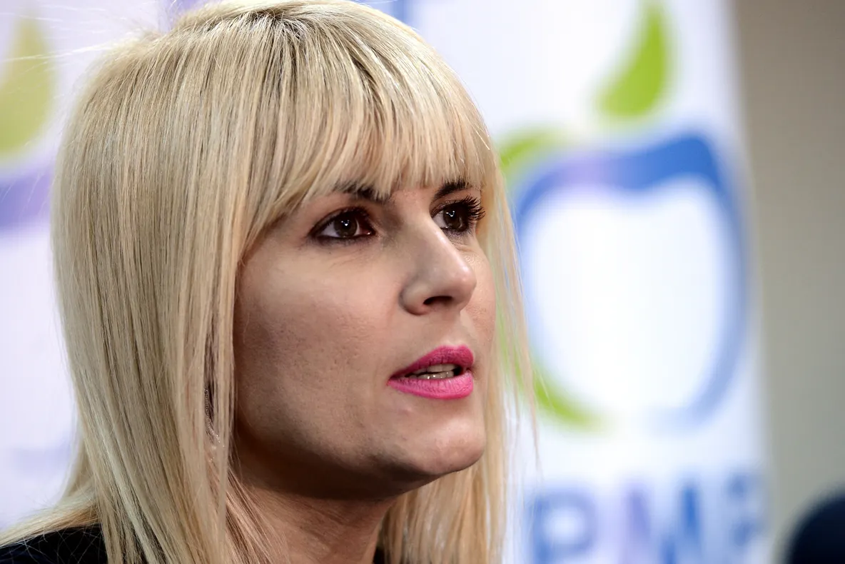 Udrea: O să ne ajute sigla partidului pentru că de data asta o să dăm mere verzi