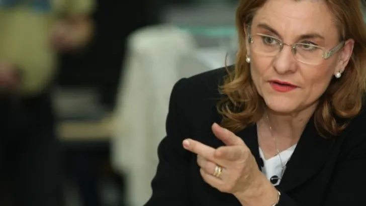 MARIA GRAPINI: Nu mai pot fi ministru după luna martie; mediul de afaceri ar prefera să rămân