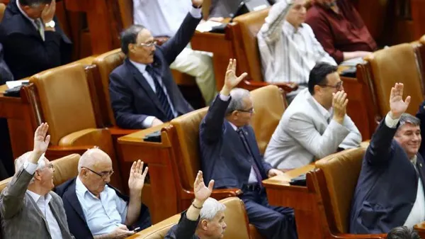 Norica Nicolai, despre LEGEA AMNISTIEI: "Nu trebuie să facem zid în spatele nimănui!"