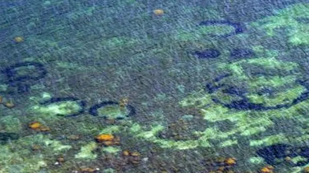 Bizarul fenomen al cercurilor submarine a fost explicat