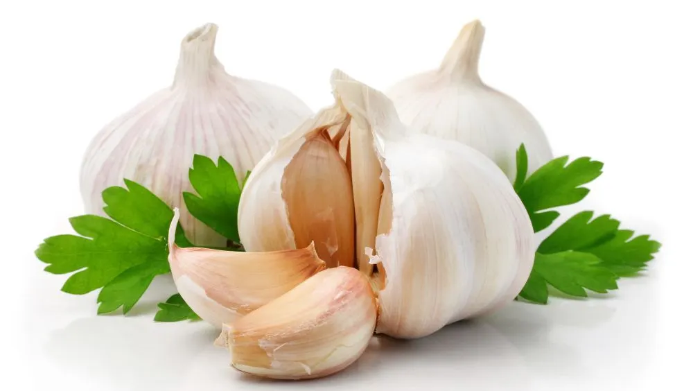 Beneficii MIRACULOASE ale usturoiului