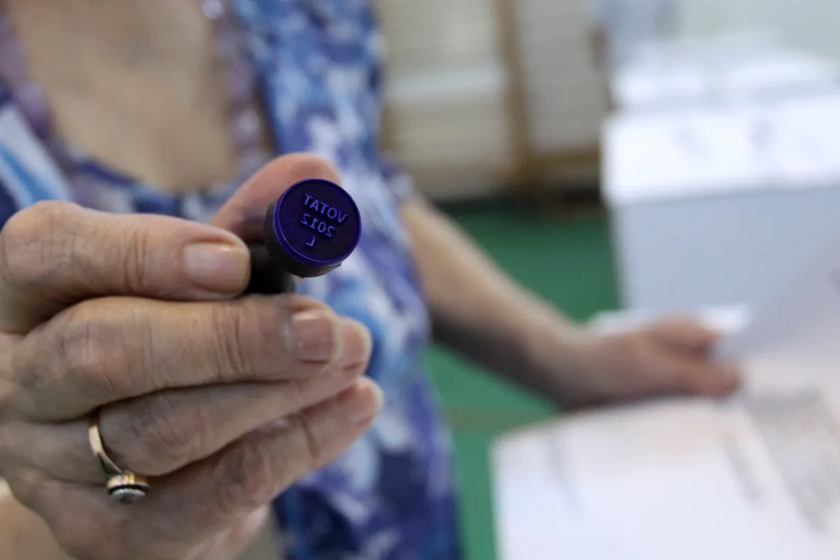 Alegerile pentru posturile vacante de parlamentari sau primari, în 25 mai, la EUROPARLAMENTARE