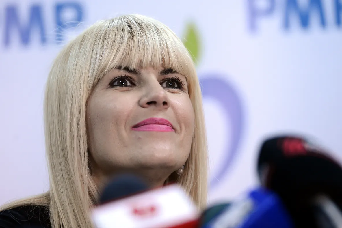 Elena Udrea, "VIDEO SELFIE" pe Facebook