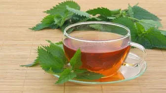 10 afecţiuni tratate cu URZICI