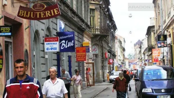 GATA CU PANOURILE PUBLICITARE montate pe CLĂDIRI ISTORICE: "Sunt ELEMENTE DE POLUARE VIZUALĂ"
