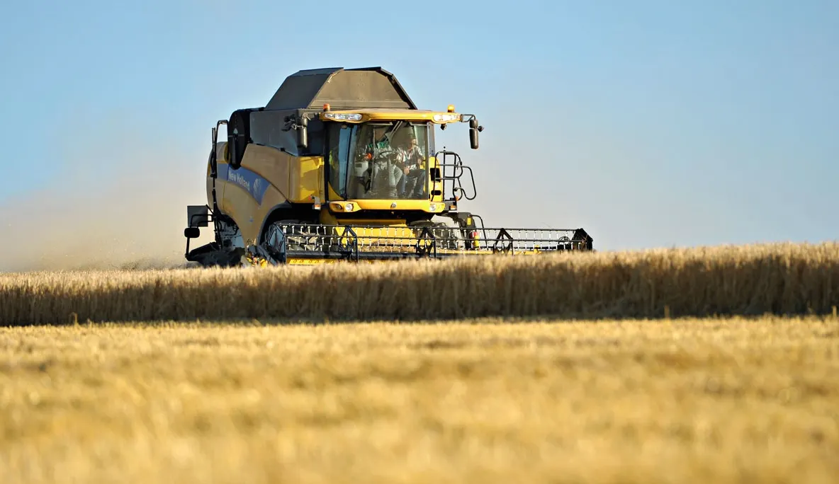 PRIMUL SEMN al crizei alimentare care AMENINŢĂ omenirea