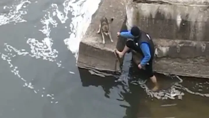 ROMÂN LĂUDAT DE PRESA STRĂINĂ. Gestul lui a impresionat milioane de oameni 