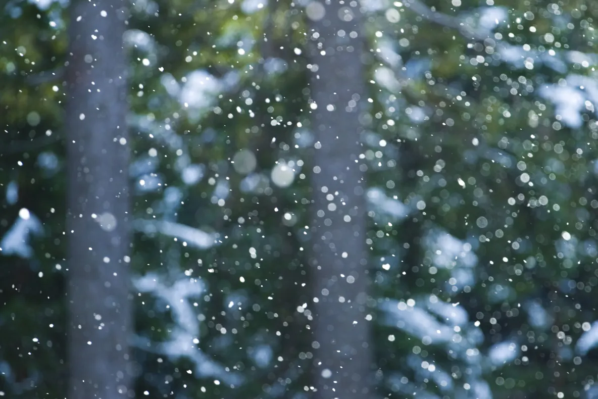 Când vin ninsorile? Prognoza meteo până pe 20 decembrie 
