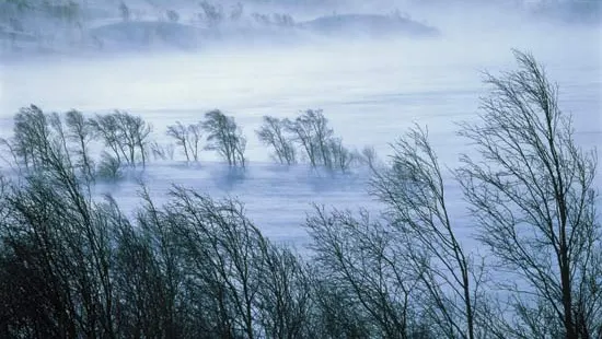ANM: Vânt puternic în Muntenia, Moldova şi Dobrogea