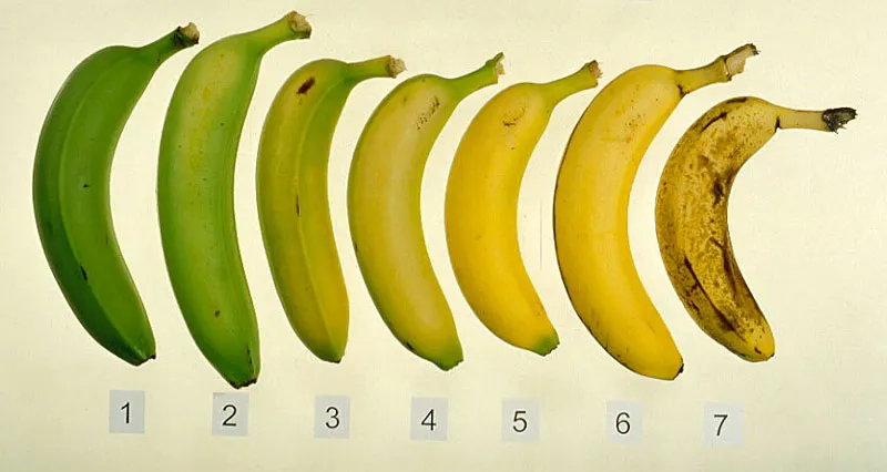 Ce pățești dacă mănânci banane cu coaja neagră?