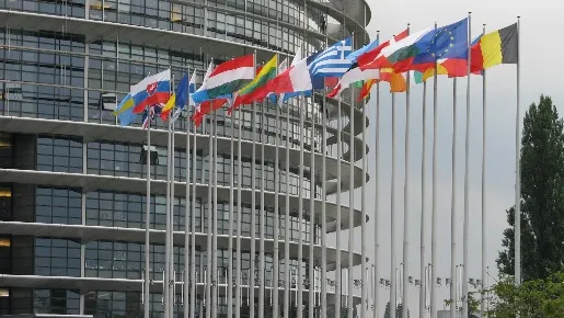 ALEGERILE EUROPARLAMENTARE 2014. Candidaţii: 11 moldoveni, un libanez, un turc, un grec şi un german