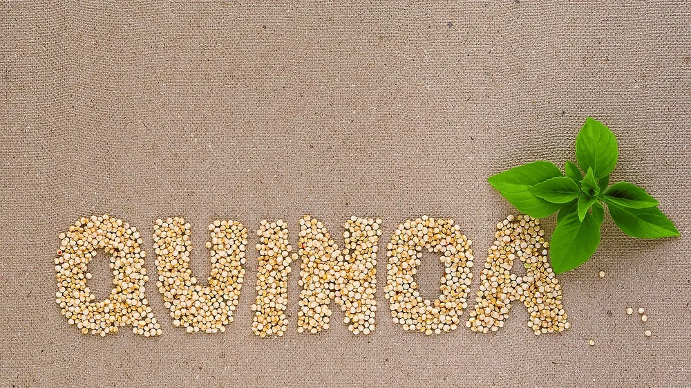 FRESH-REFRESH. Semințele de QUINOA