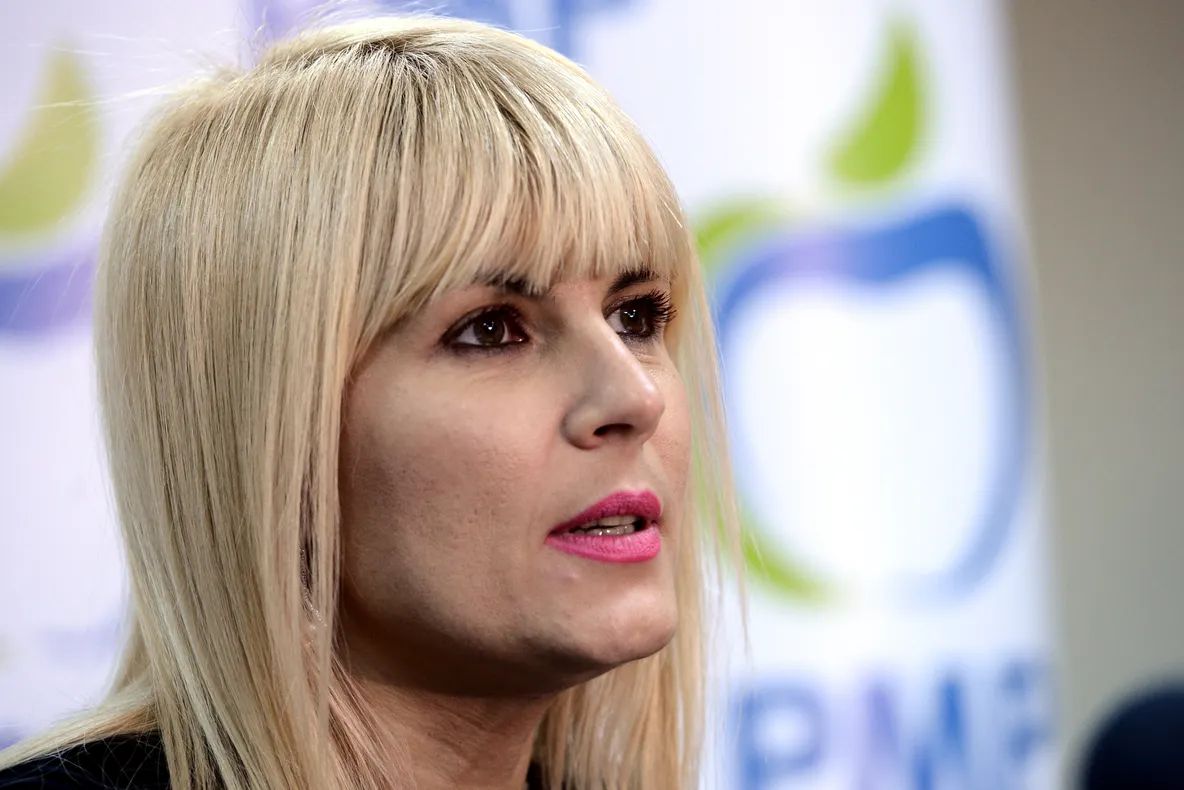 Udrea: PMP organizează o dezbatere în Parlament. Traian Băsescu, invitat 