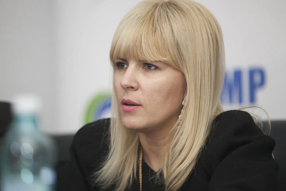 Udrea: PMP cere demisia de urgență a ministrului Remus Pricopie  
