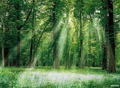 Efectele îngrijorătare provocate de extinderea zonei tropicale din cauza schimbărilor climatice