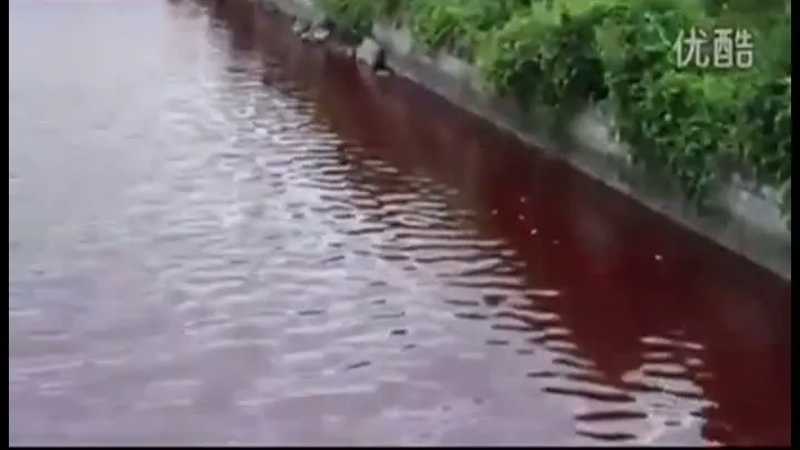 RÂUL SÂNGERIU DIN CHINA. Nimeni nu ştie care ar fi cauza fenomenului bizar 